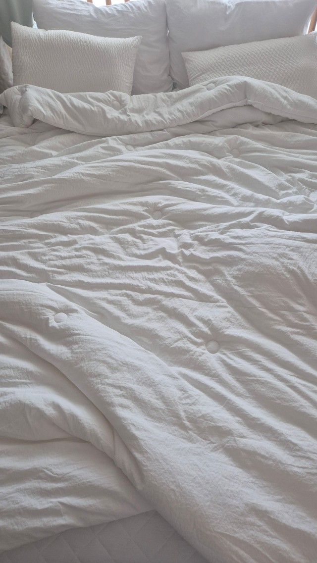 이미지를 찾을 수 없습니다.