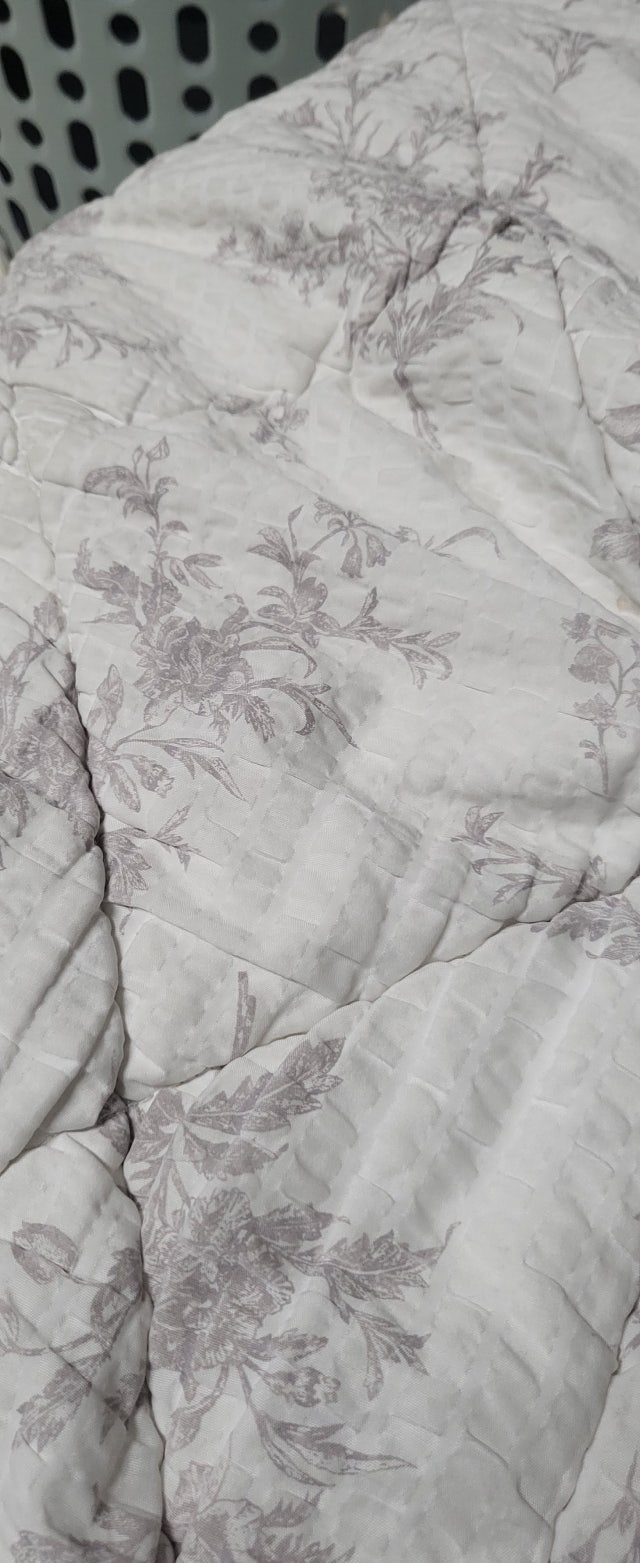 이미지를 찾을 수 없습니다.