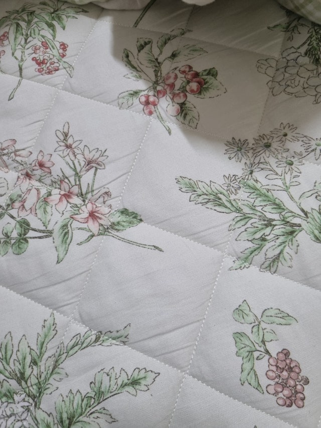 이미지를 찾을 수 없습니다.