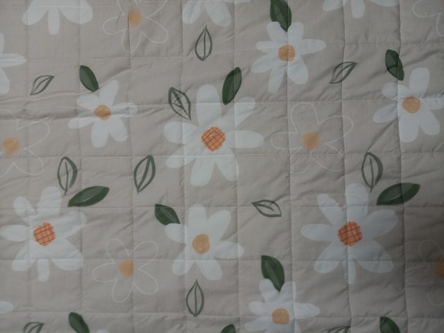 이미지를 찾을 수 없습니다.