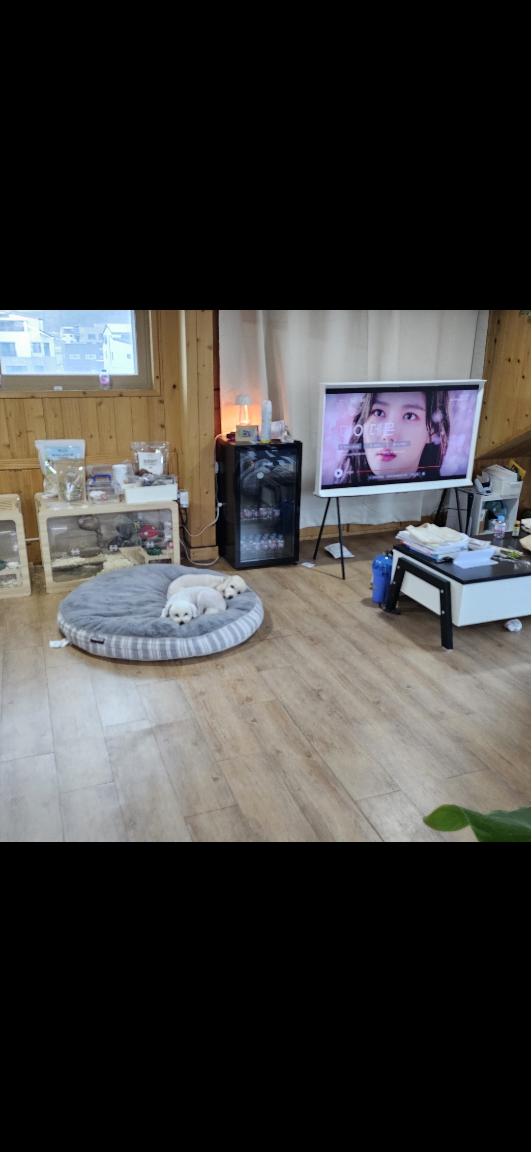 리뷰 이미지