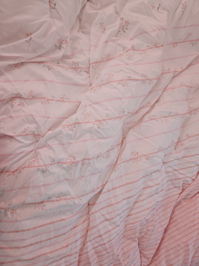 이미지를 찾을 수 없습니다.