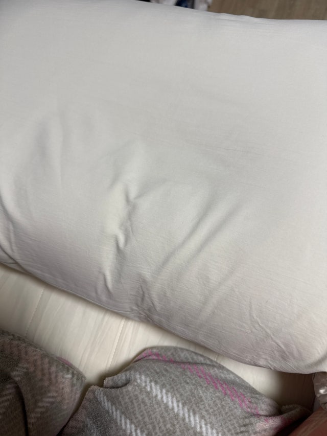 이미지를 찾을 수 없습니다.