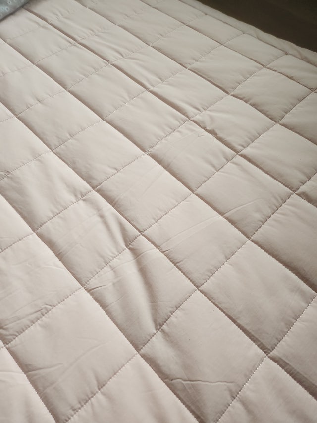 이미지를 찾을 수 없습니다.