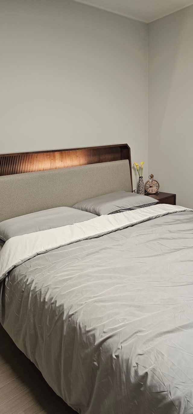 이미지를 찾을 수 없습니다.