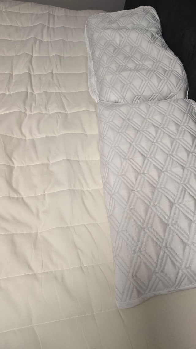 이미지를 찾을 수 없습니다.