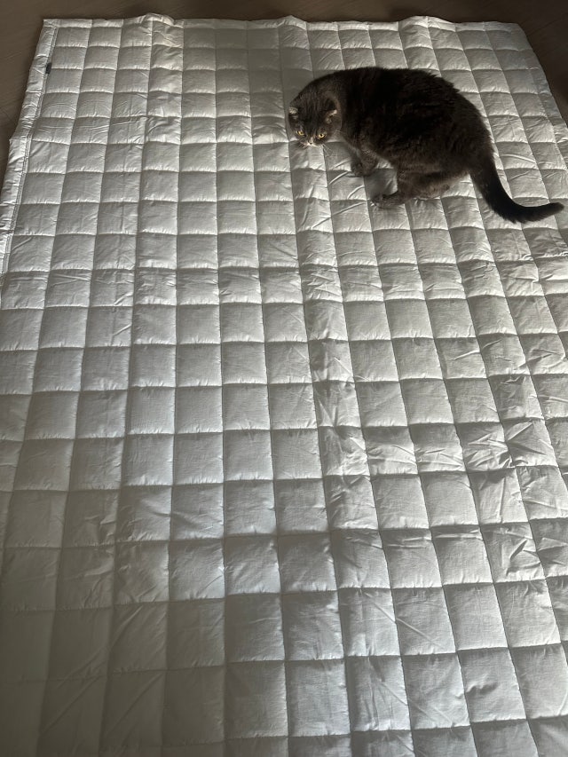 이미지를 찾을 수 없습니다.