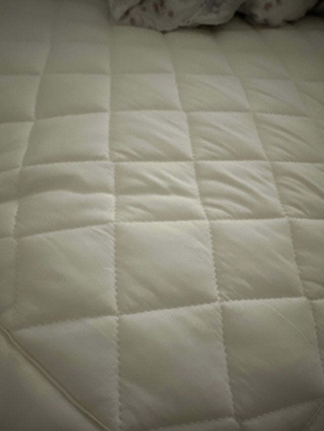 이미지를 찾을 수 없습니다.