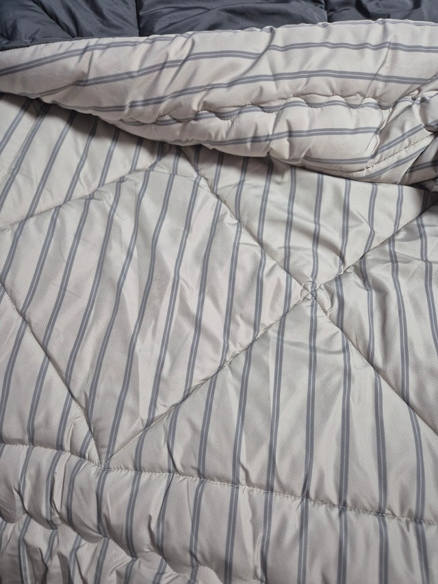 이미지를 찾을 수 없습니다.