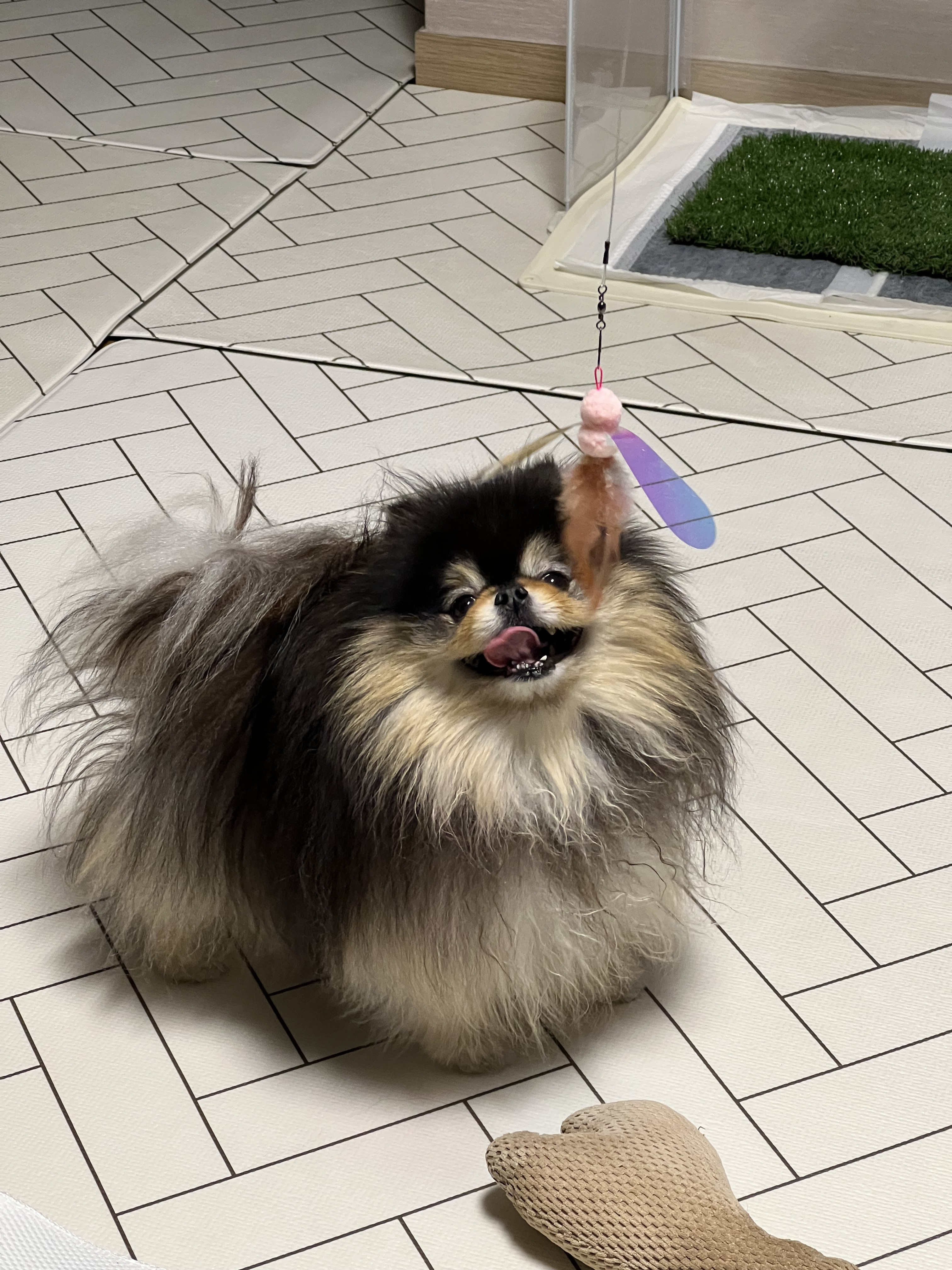 리뷰 이미지