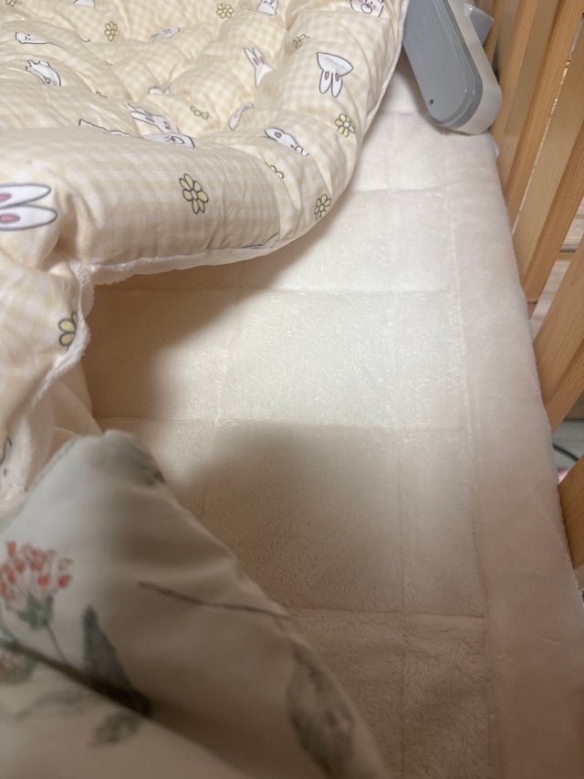 이미지를 찾을 수 없습니다.