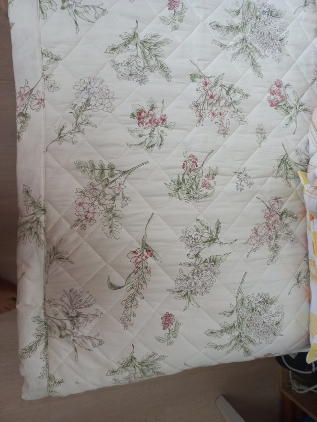 이미지를 찾을 수 없습니다.