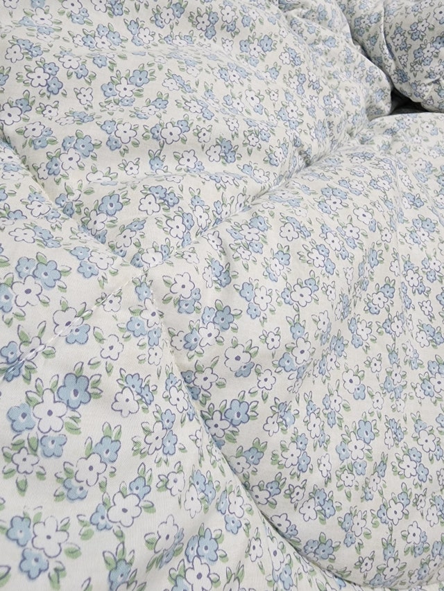 이미지를 찾을 수 없습니다.