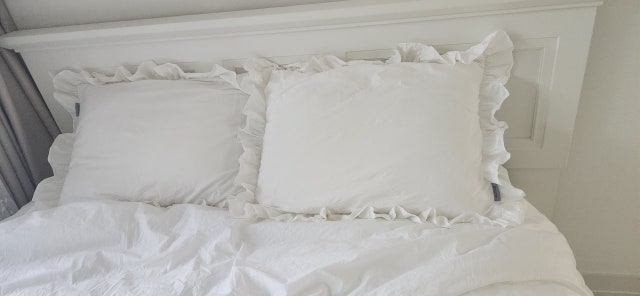 이미지를 찾을 수 없습니다.