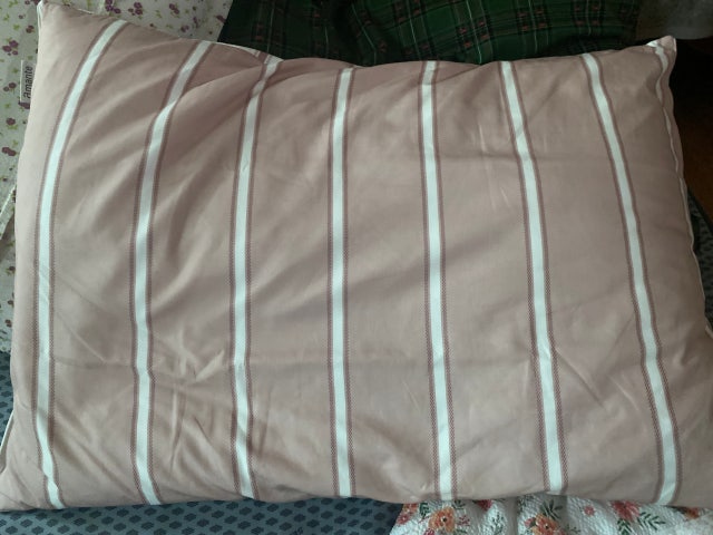 이미지를 찾을 수 없습니다.