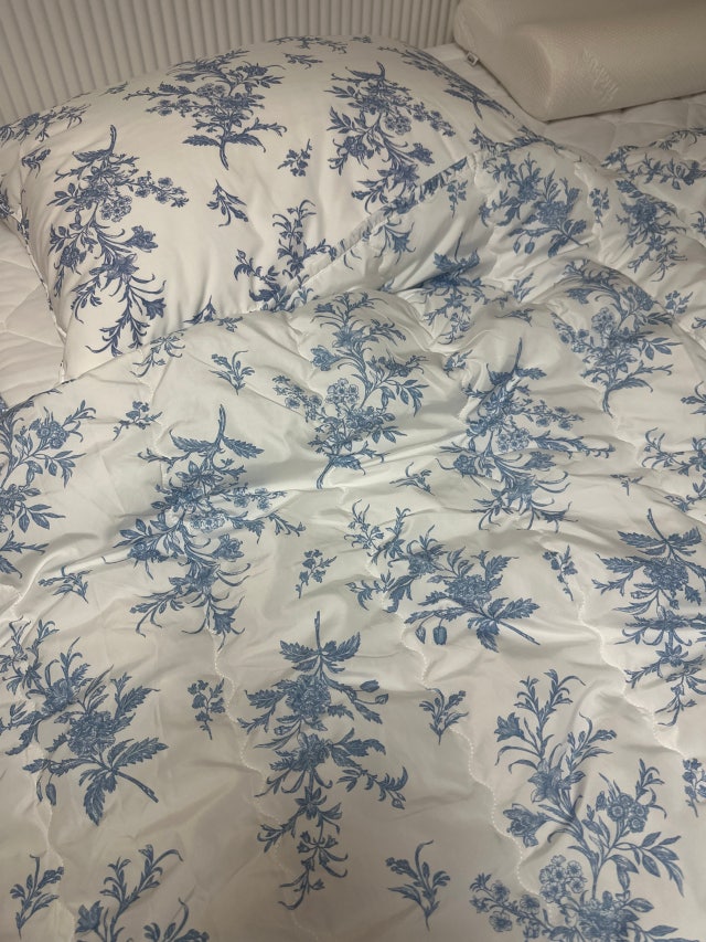 이미지를 찾을 수 없습니다.