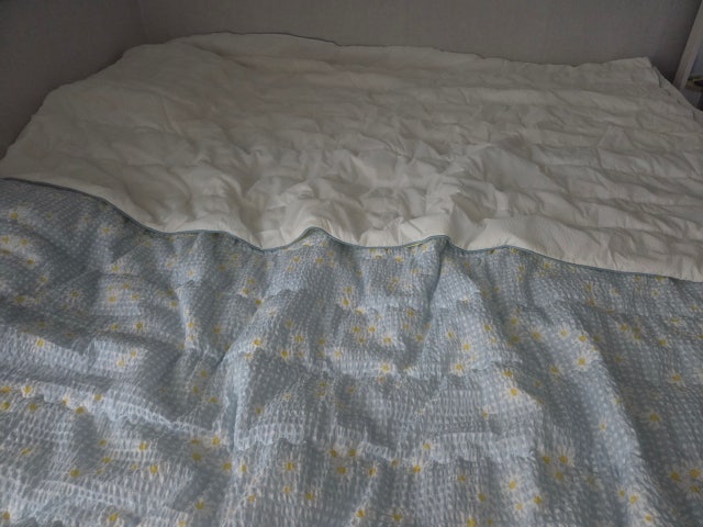 이미지를 찾을 수 없습니다.