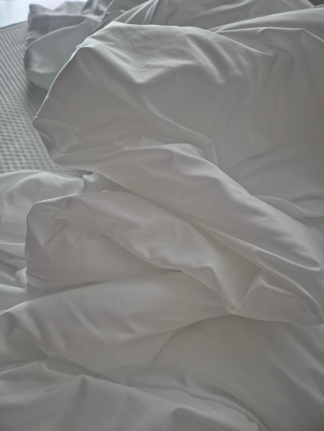 이미지를 찾을 수 없습니다.