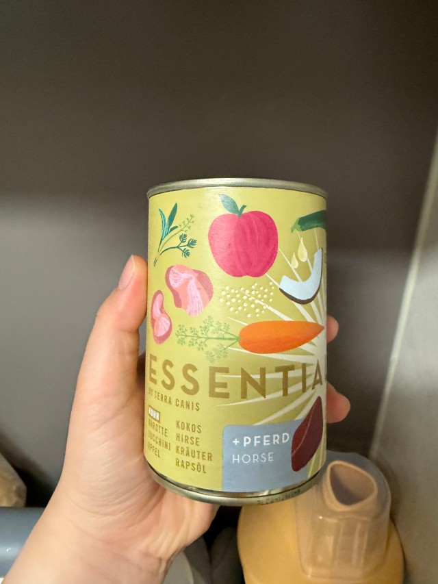 에디터이미지