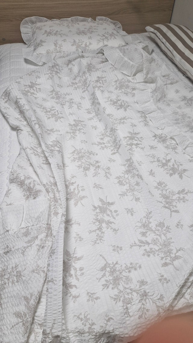 이미지를 찾을 수 없습니다.