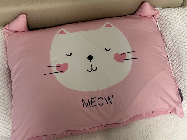 이미지를 찾을 수 없습니다.