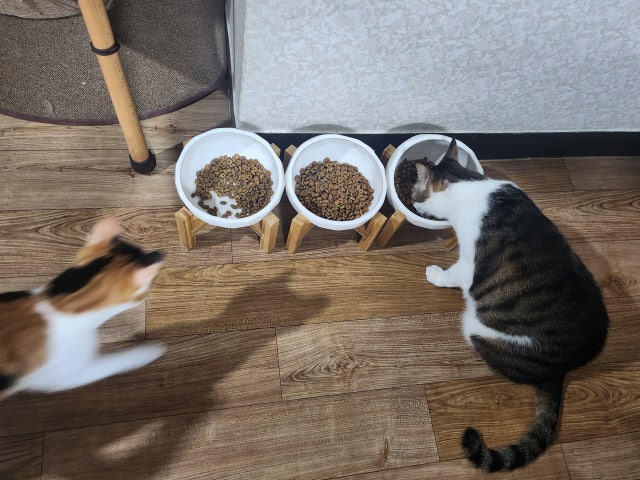 이미지를 찾을 수 없습니다.