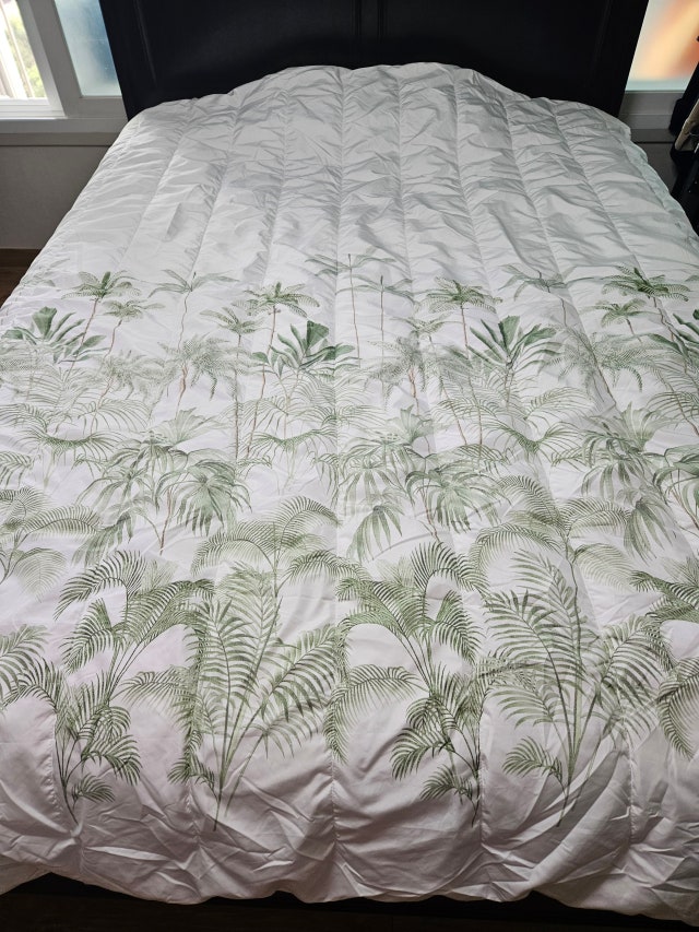 이미지를 찾을 수 없습니다.