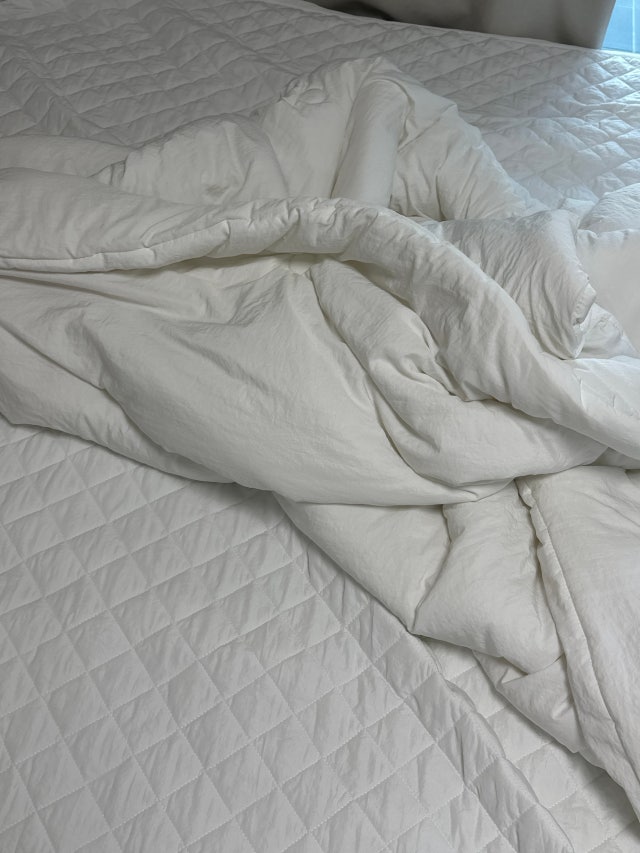 이미지를 찾을 수 없습니다.