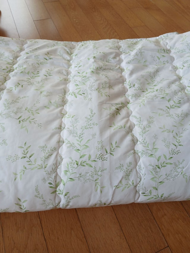 이미지를 찾을 수 없습니다.