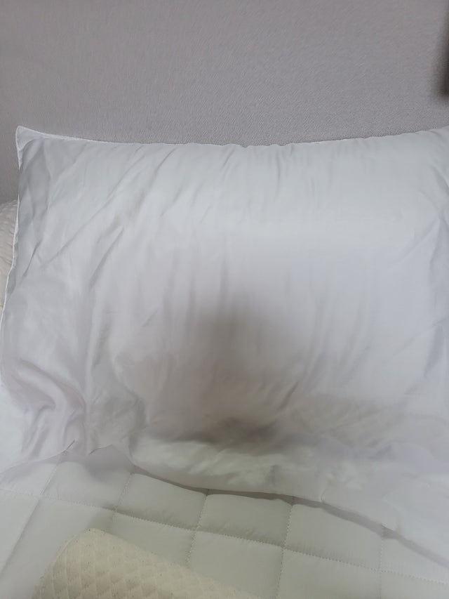 이미지를 찾을 수 없습니다.