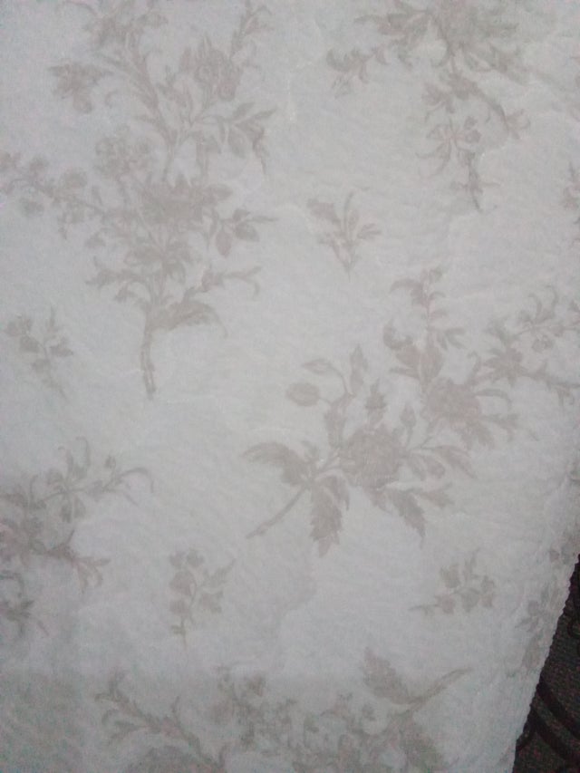 이미지를 찾을 수 없습니다.