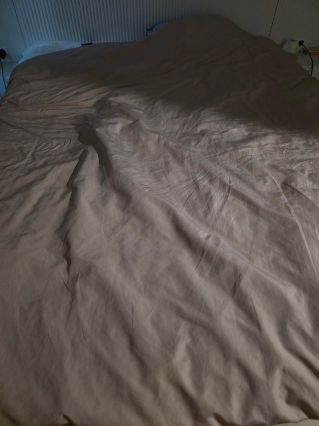 이미지를 찾을 수 없습니다.