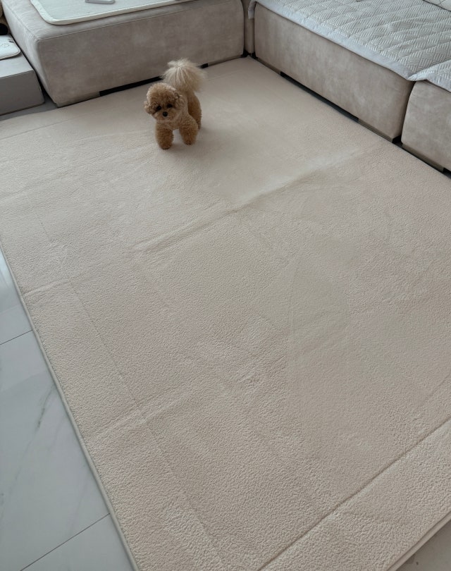 IMG_3012.jpeg?type=w640