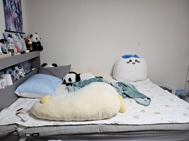 이미지를 찾을 수 없습니다.