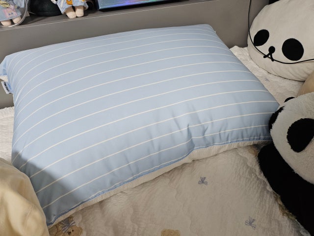 이미지를 찾을 수 없습니다.