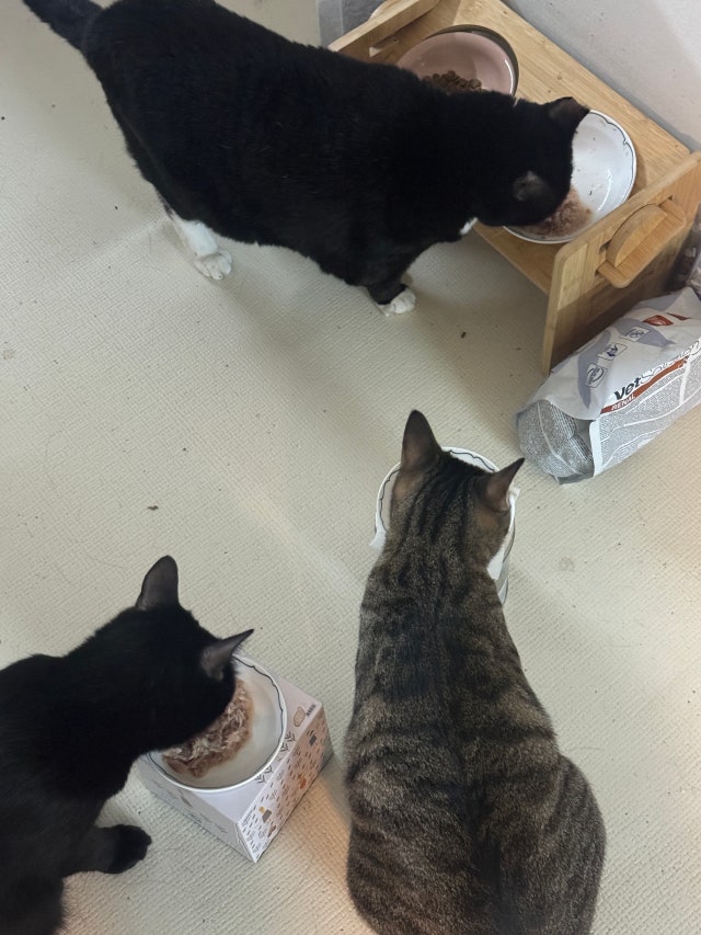 IMG_7183.jpeg?type=w640