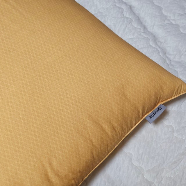 이미지를 찾을 수 없습니다.