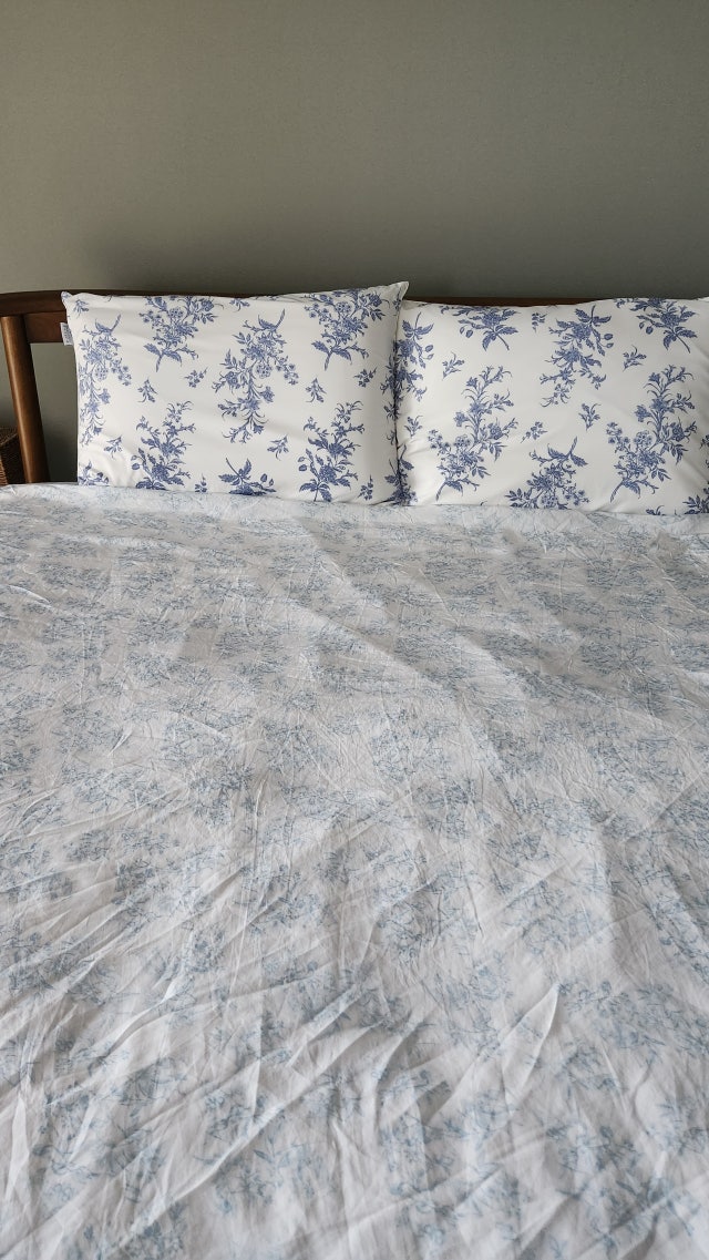 이미지를 찾을 수 없습니다.