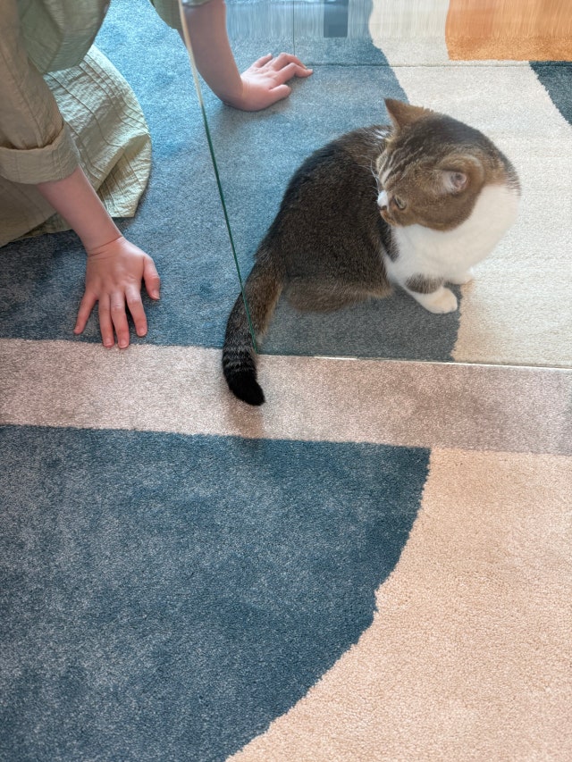 IMG_1349.jpeg?type=w640