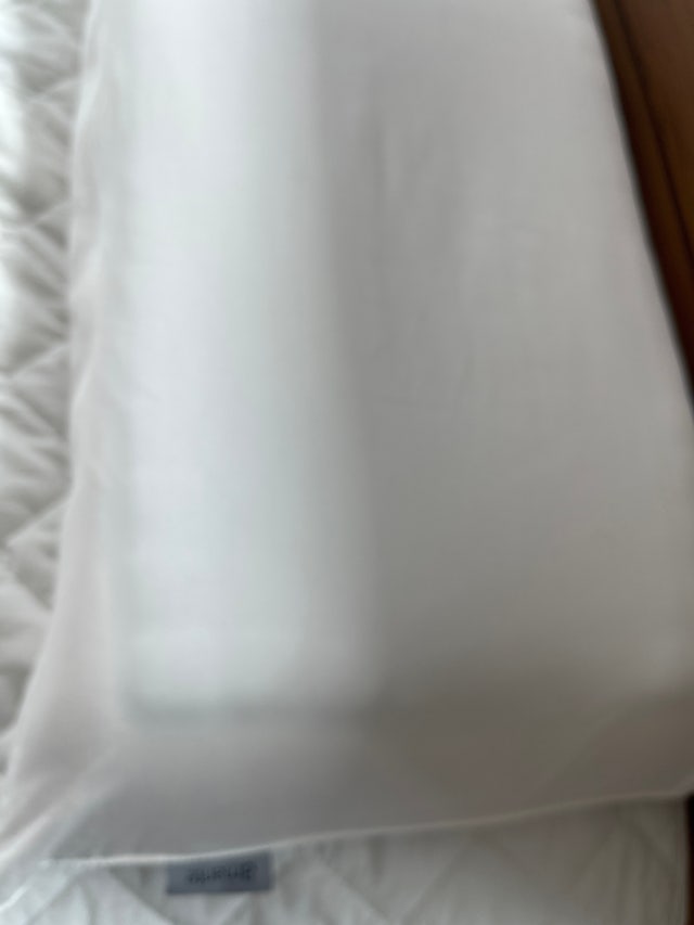 이미지를 찾을 수 없습니다.