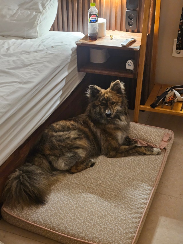 1000039492.jpg?type=w640