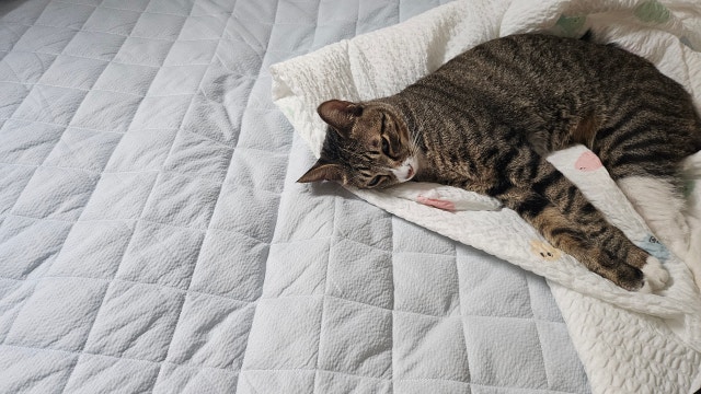 이미지를 찾을 수 없습니다.