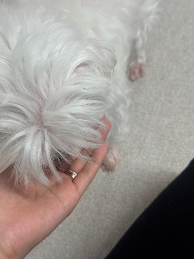 IMG_9371.jpeg?type=w640