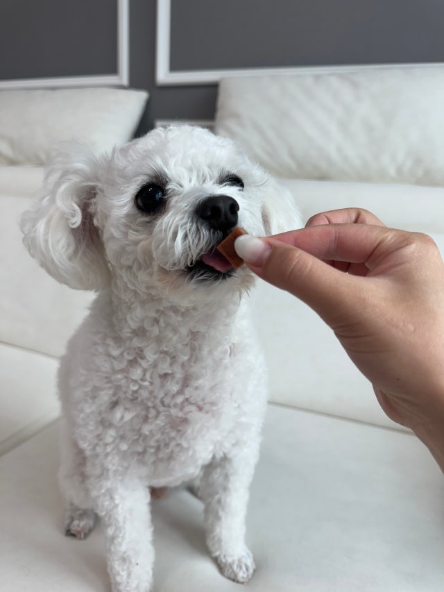 IMG_0508.jpeg?type=w640