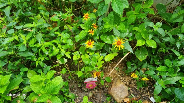 1000019119.jpg?type=w640