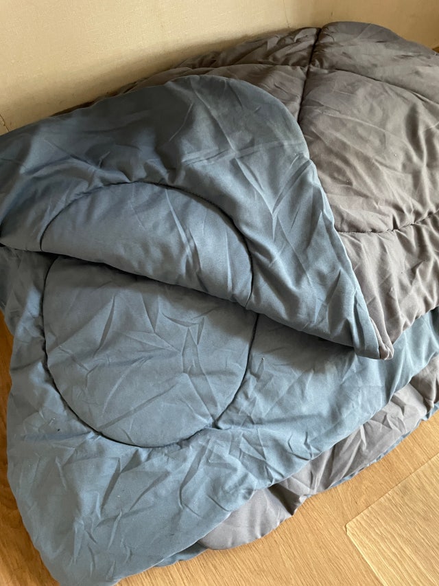 이미지를 찾을 수 없습니다.