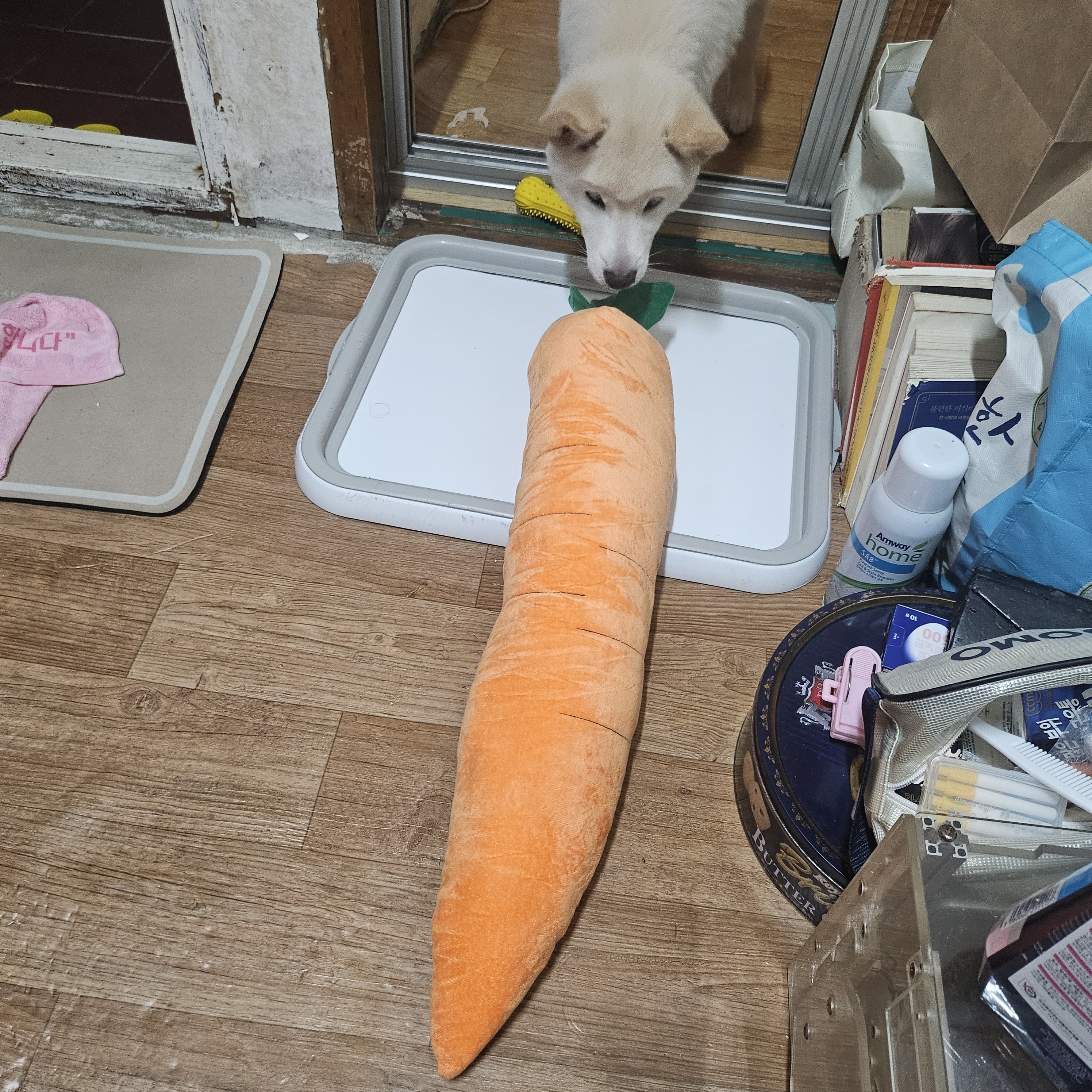 리뷰 이미지