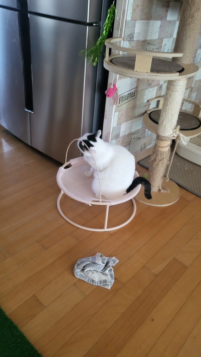 이미지를 찾을 수 없습니다.