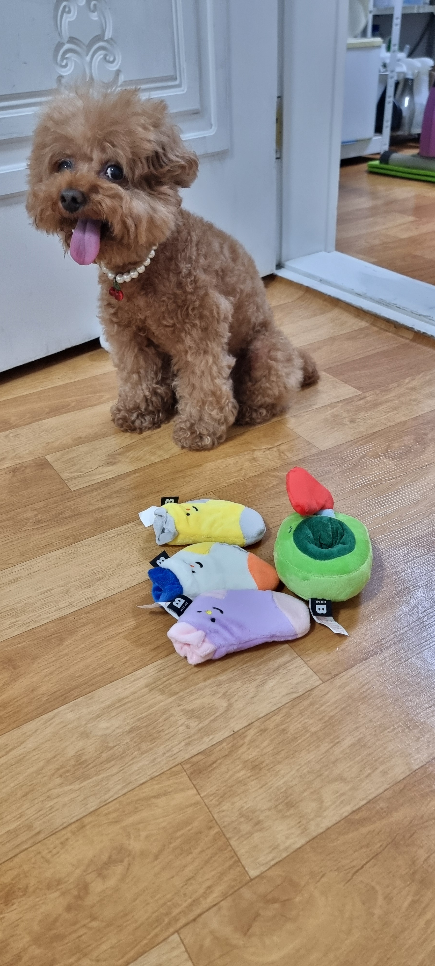 리뷰 이미지