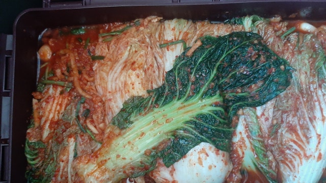 1756197139682.jpg?type=w640